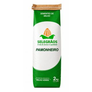 Sementes Milho Híbrido Pamonheiro 2kg - Ideal Para Pamonha, Curau e Milho Verde