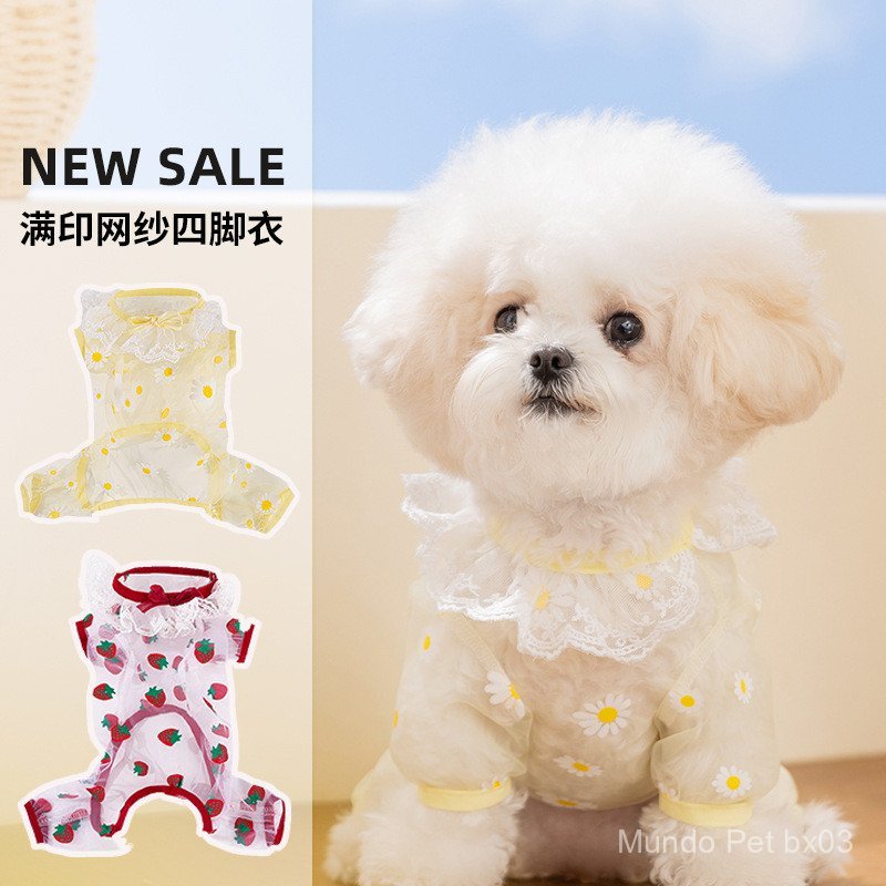 Roupa de malha respirável com estampa de primavera para Bichon Frise, Teddy e cães pequenos, vestuário para gatos de est