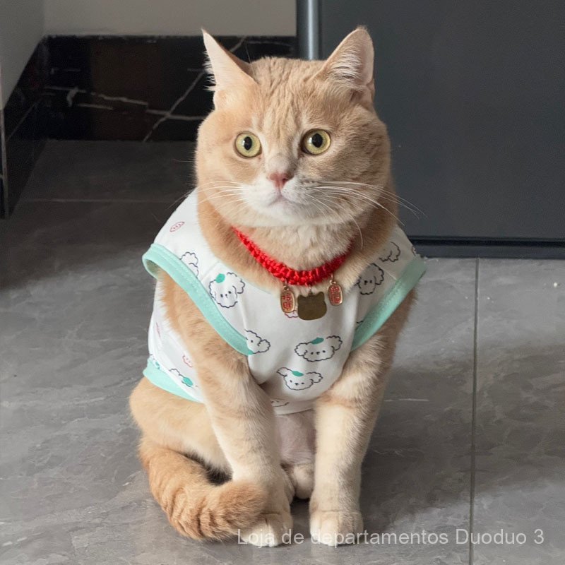 Roupas para gatos e cães, universais para primavera e outono, estilo fino, adequadas para Bichon, Bulldog Francês, Corgi