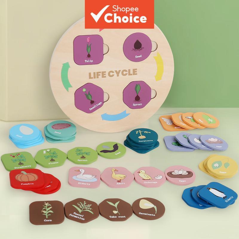 Ciclo de vida do Quebra-Cabeça de Madeira | Brinquedos Montessori de Ciências Biológicas para Crianças | Conjunto de