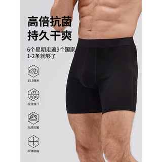 Concha cinza 15.5 mícrons ao ar livre lã merino roupa íntima de secagem rápida desodorante antibacteriano merino Shorts 