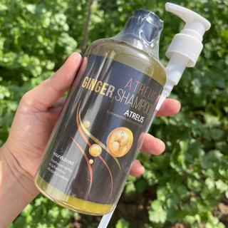Tailândia atreus Gengibre Shampoo Suco de Gengibre Silicone Livre Hidratante Frizz Suave Suave Anticaspa Cuidados com os
