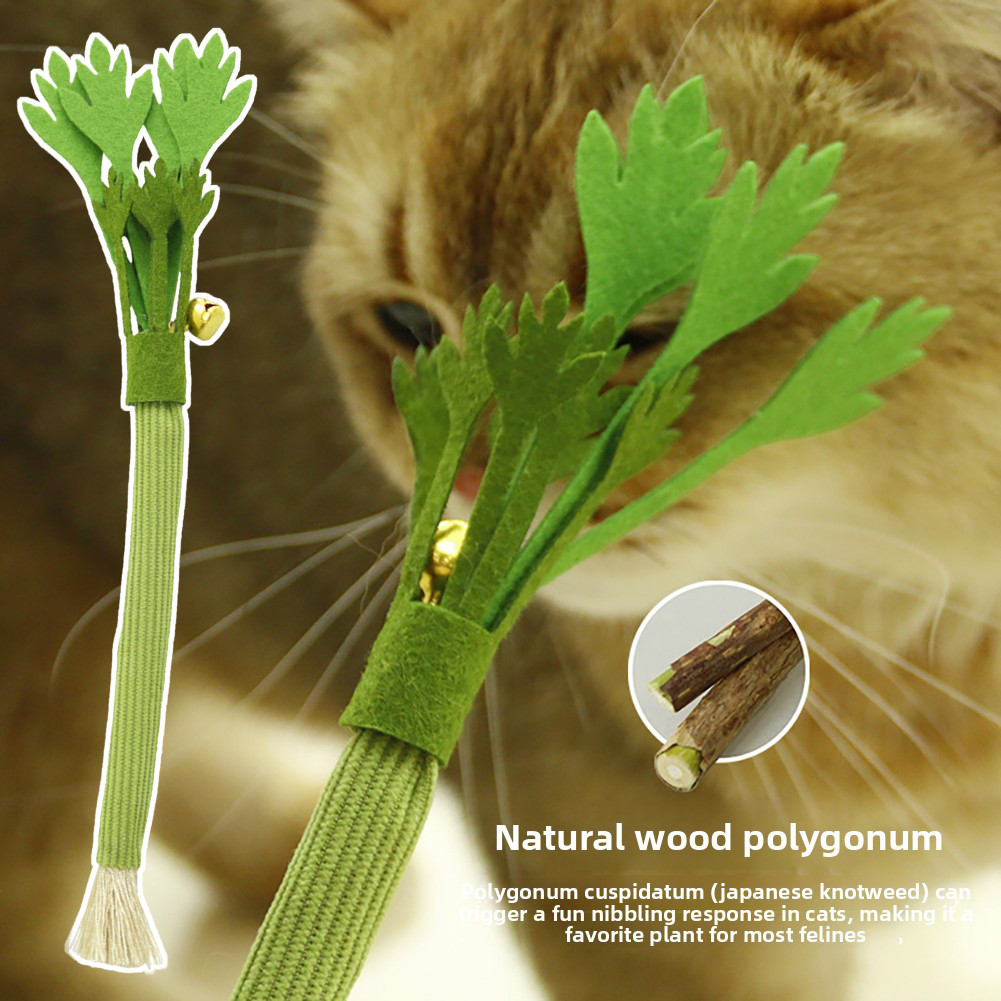 Alternativas Naturais De Erva-De-Gato Silvervine Para Aliviar O Estresse E Tédio Multi Diversão Doméstica