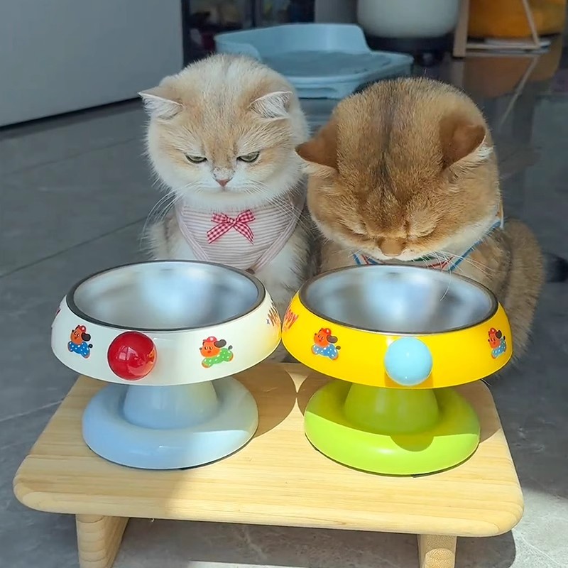 Tigela de arroz para gatos, tigela protetora para coluna Cervical, tigela para comida de gato, tigela de aço inoxidável