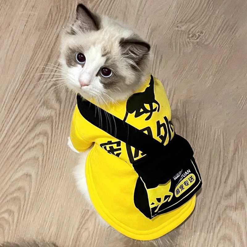 Pet Takeaway roupas gato cão mochila de inverno com mochila Muppets britânico curto primavera outono Tik Tok mesmo estil