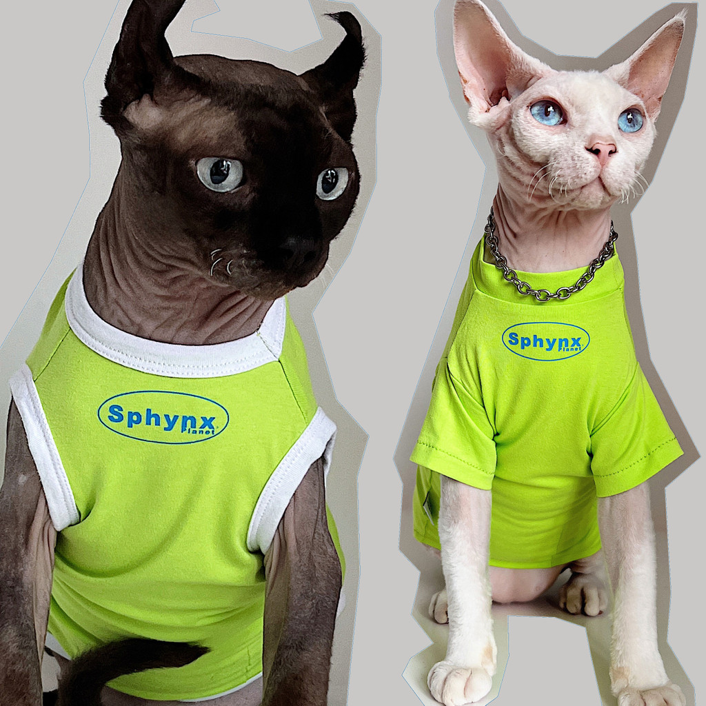 SPHYNX planeta roupas de gato alemão sem pêlos gato esfinge roupas para animais de estimação caseiro verde verão fino ar