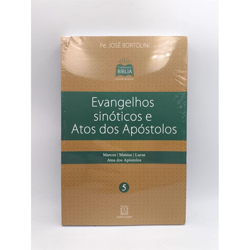 Evangelhos Sinoticos e Atos dos Apostolos: Marcos i Mateus i Lucas i Atos dos Apóstolos autor José Bortolini