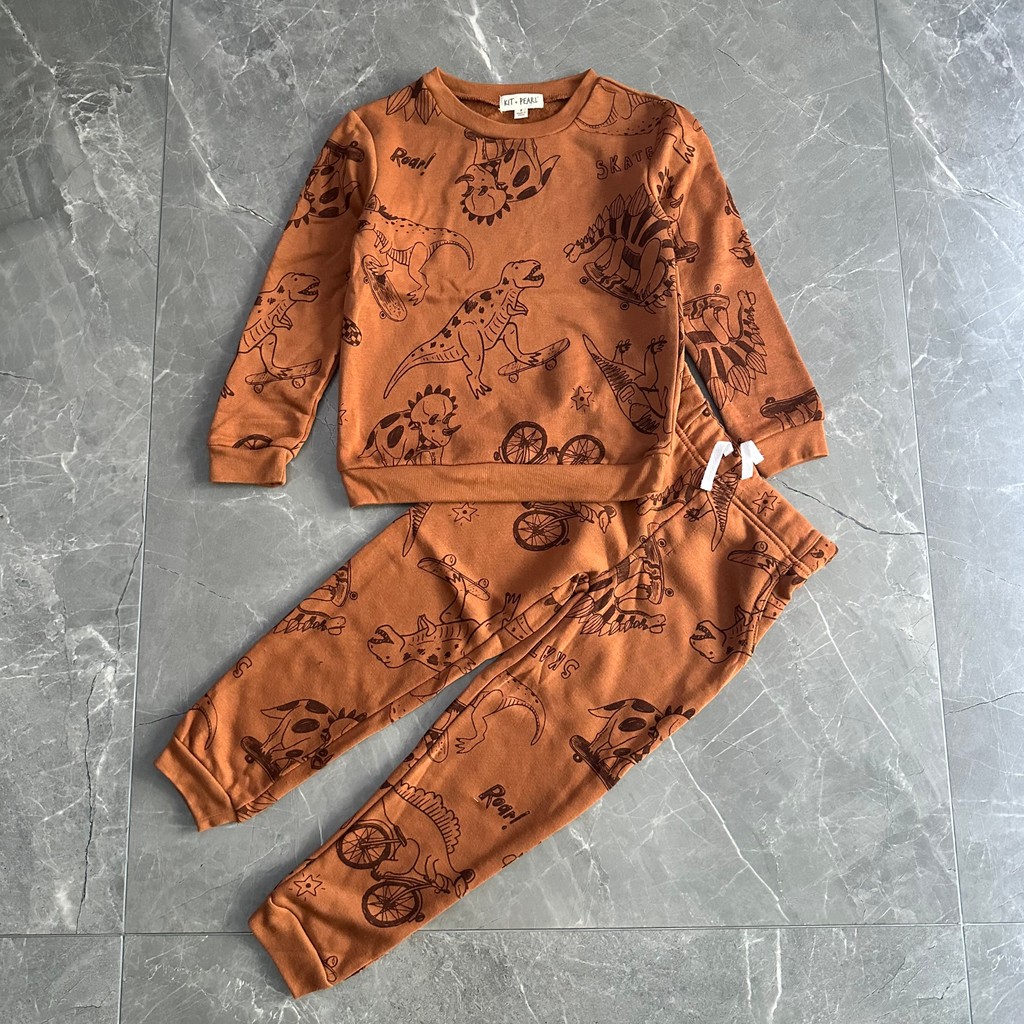 Comércio exterior crianças roupas meninos impressão completa dinossauro velo esportes terno moletom moletom esportes All