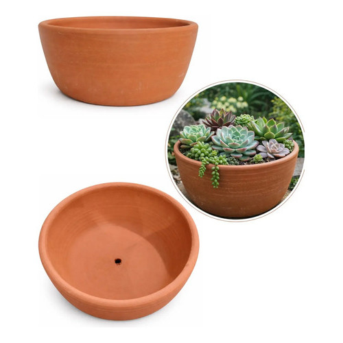 Vaso Cuia Bacia Bowl Barro Suculenta Planta Bonsai Terrário Terracota Rústico