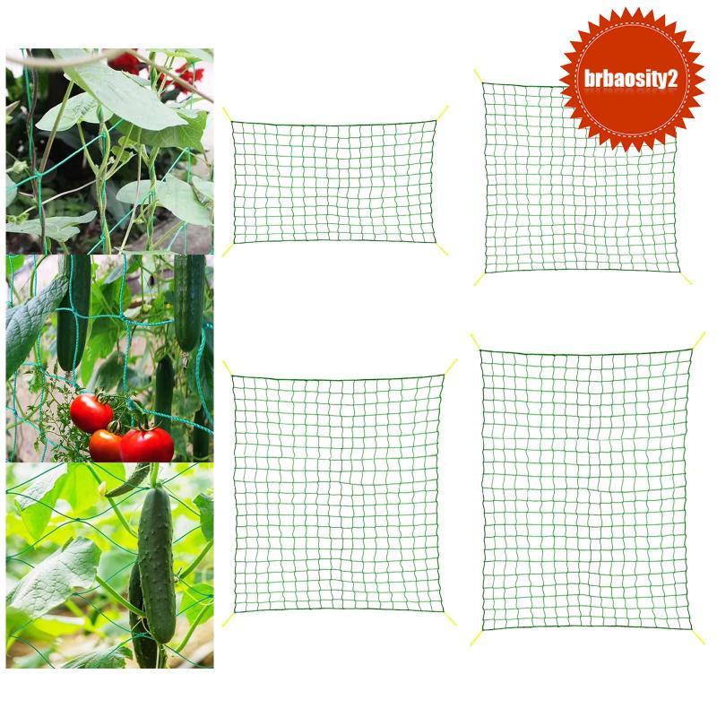 [Brbaosity2] Rede De Treliça De Jardim , Suporte De Plantas Grade Quadrada Para Trepadeiras Videiras , Vegetais , Tomate