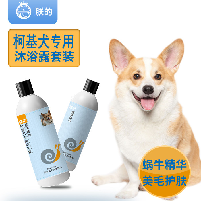 My Corgi Dog Gel de banho especial Condicionador de cabelo grátis Shampoo para animais de estimação Gel de banho para cã