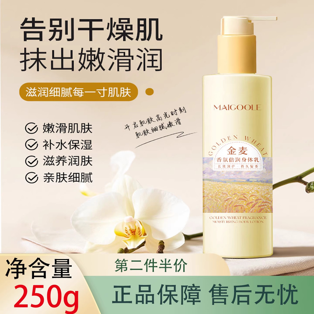 Fragrância de trigo dourado hidratante loção corporal hidratante hidratante pele feminina fragrância seca outono inverno