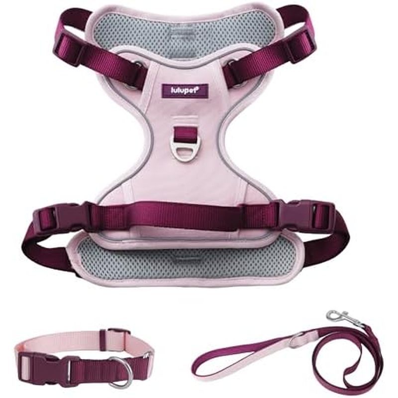 Conjunto De Coleira Arnês De Cachorro Rosa , Colete Reflexivo Sem Tração Com Alça De Controle Animal De Estimação Respir