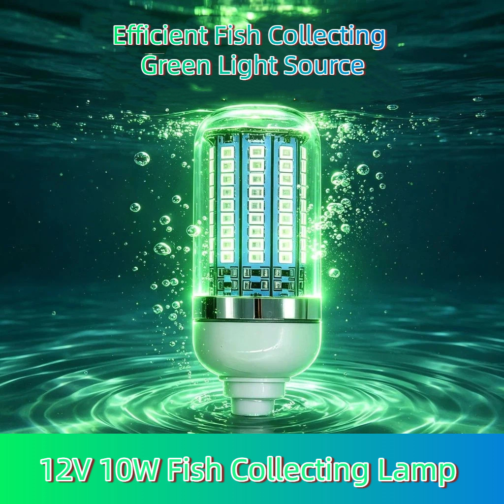 Lâmpada De Coleta De Peixes 10W 12V Especial Ao Ar Livre À Prova D'água LED Peixe luring Fósforo Anchova Sardinha Pesca