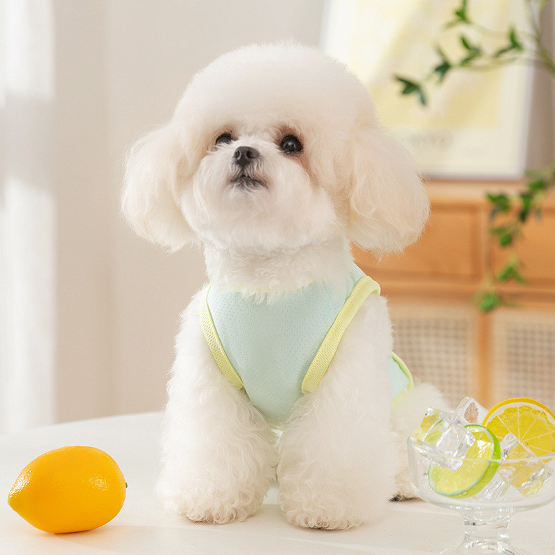2026 Verão Novo Estilo Pet Cooling Protetor Solar Colete Resfriamento de Gelo Es...