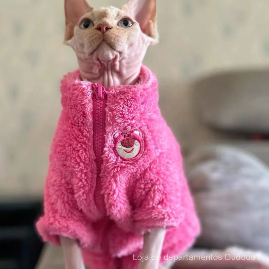 Roupa para gatos sem pelos, forrada de lã, para gatos Sphynx e Devon, estilo urso morango, macia e espessa, casaco quent