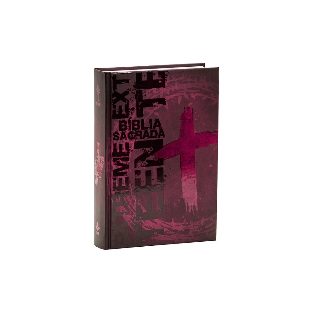 Bíblia Extreme Teen para Jovens e Adolescentes | SBB | Bíblia Sagrada Extreme Teen - Capa dura, vinho