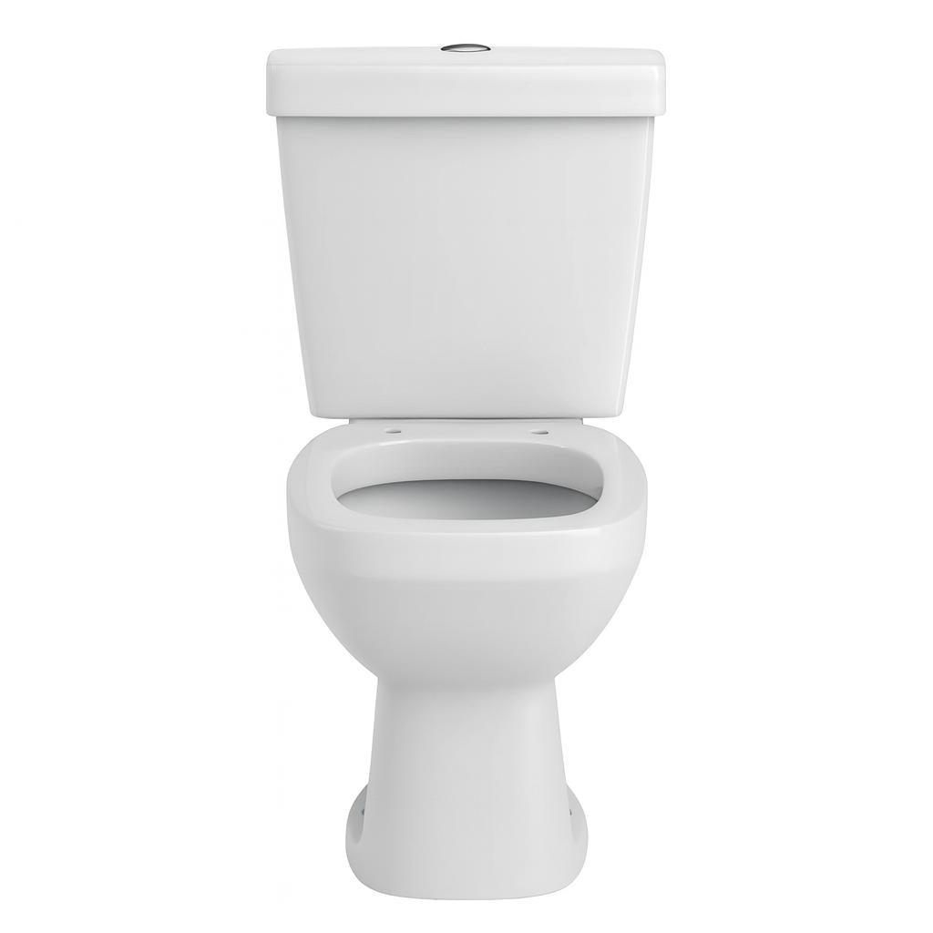 Vaso Sanitário Caixa Acoplada Amarilis Dual Flush Fiori Branco Banheiro ou Lavabo