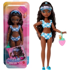 Barbie Coleção Dream Besties Boneca Brooklyn Da Praia Com Acessórios - Mattel