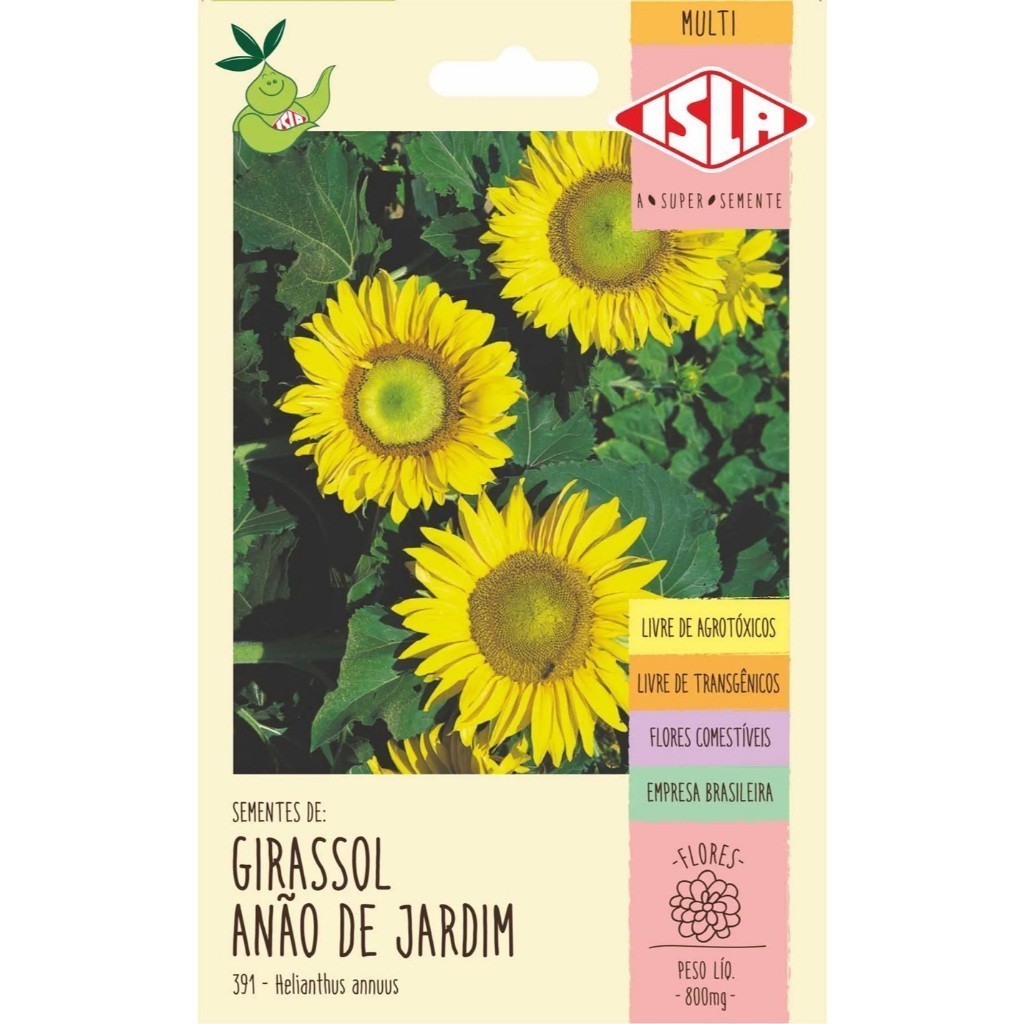 prazer de cultivar Sementes para Flores de Girassol Anão de Jardim Helianthus annuus Sol em Miniatura para Vasos ISLA