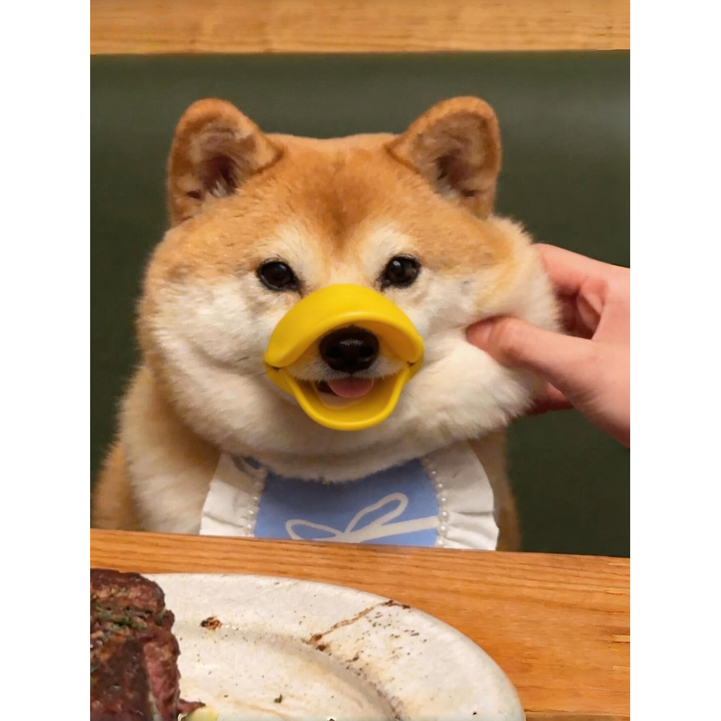 Shiba Inu cão boca capa casca rolha máscara cão capa filhote de cachorro anti-mordida anti-latido anti-lamber pequeno cã