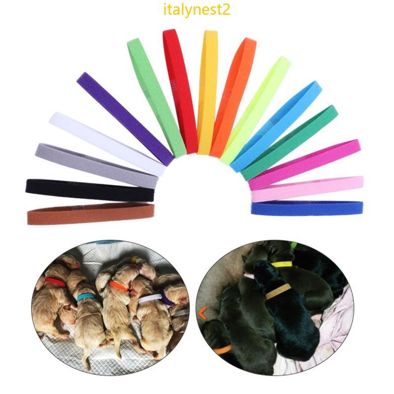 Billy 15Pc Coleiras Identificação Para Filhotes Coloridas Parto Animais Estimação Recém-Nascidos Faixa Macia Ajust