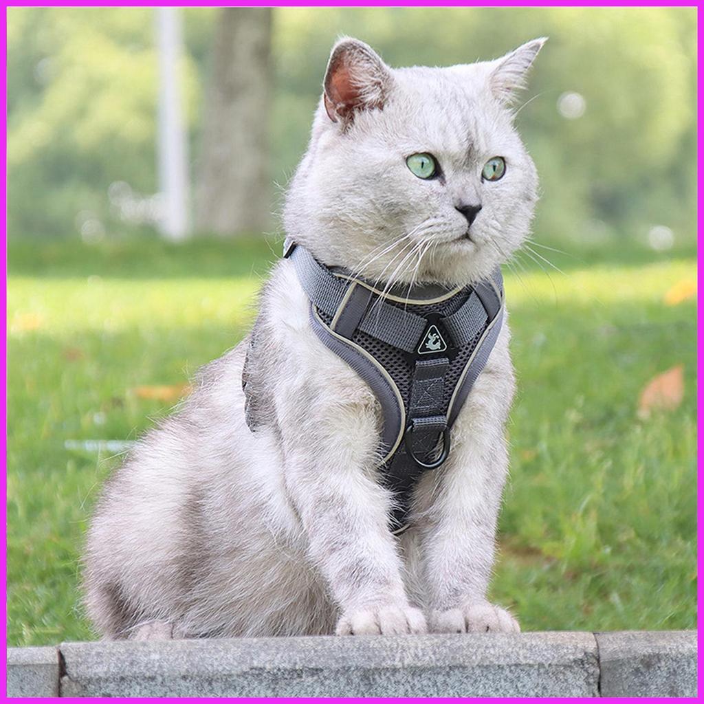 Arnês Para Gatos E Chumbo Respirável Colete Conjunto De Caminhar Gatinho Filhote De Cachorro Escape alpiert2br