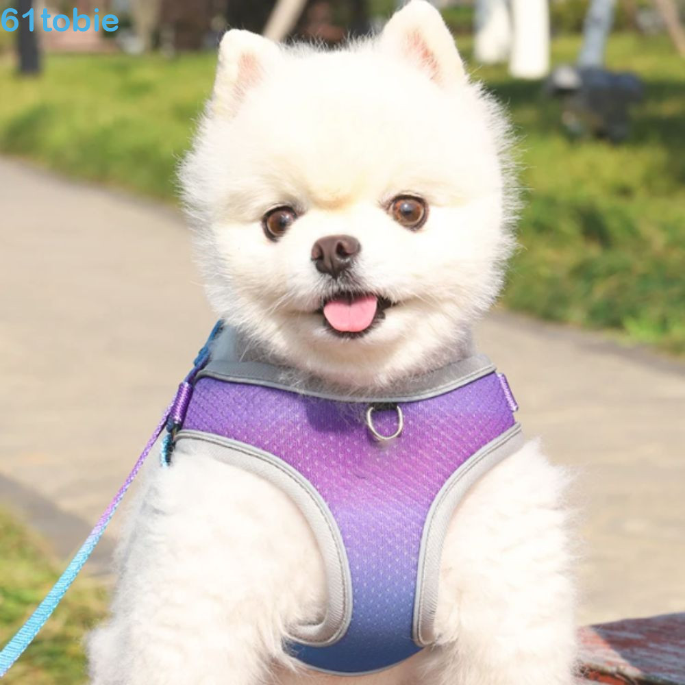 Colete De Arnês Para Cães TOBIE , Coleira De Cachorro Ajustável Em Cor Gradiente Universal Caminhada De