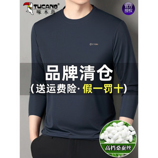 Woodpecker High-End masculino amoreira seda manga comprida camiseta primavera outono novo estilo não-ferro topo médio-