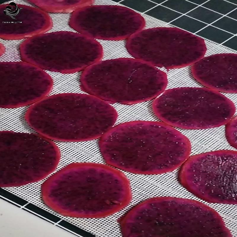 PFG 1 Peça Tapetes Reutilizáveis Para Secador De Alimentos Almofada De Malha De Silicone Folhas Desidratador De Frutas E