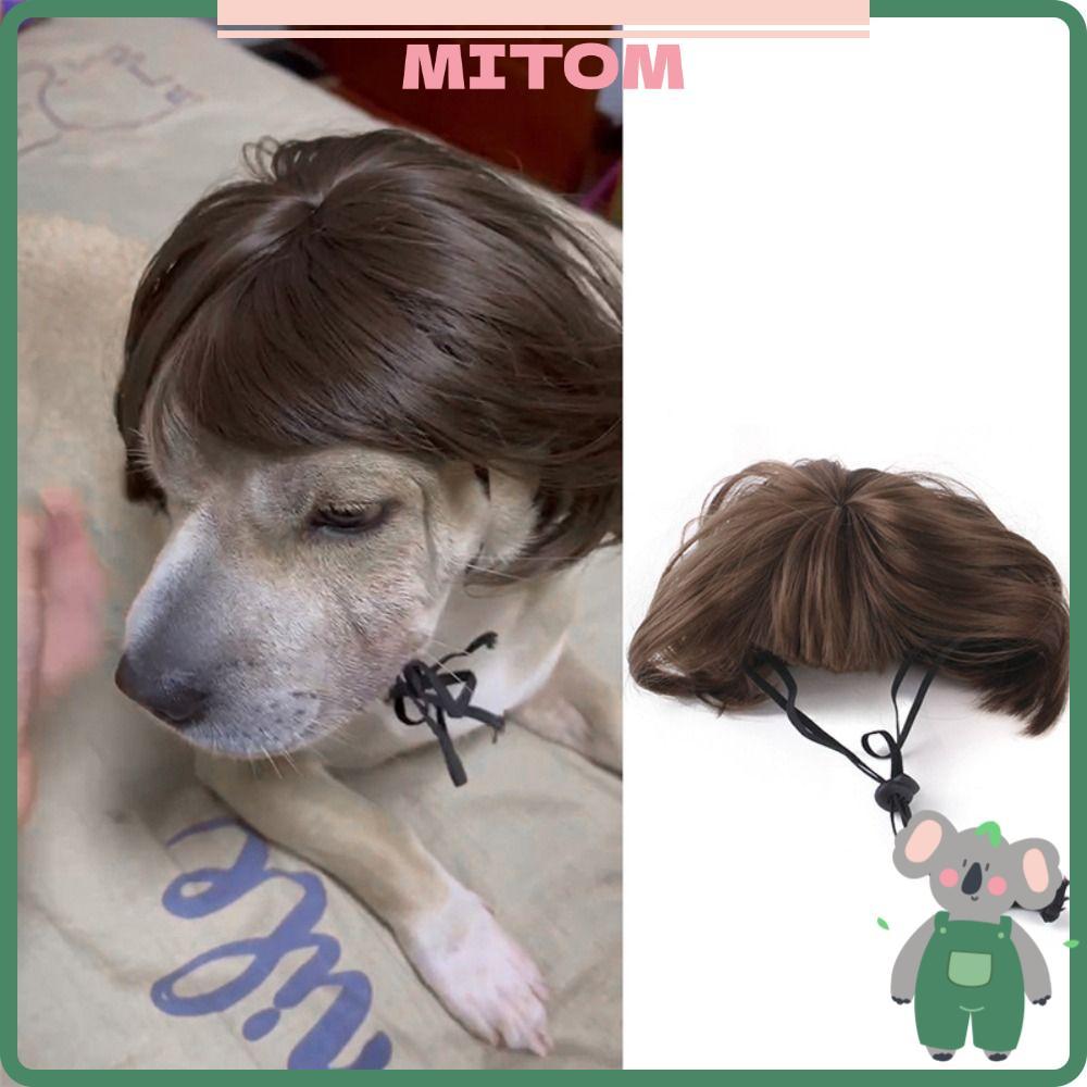 MITOM Perucas Para Animais De Estimação , Adereços De Cosplay Fotografia , Fantasia Suprimentos Cachorro , Gato , Cabelo