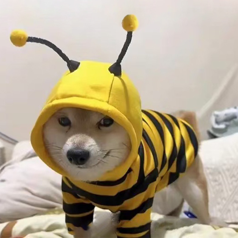 Roupas para cães bonito pequena abelha roupas com capuz moletom outono inverno engraçado Shiba Inu filhotes de pelúcia c