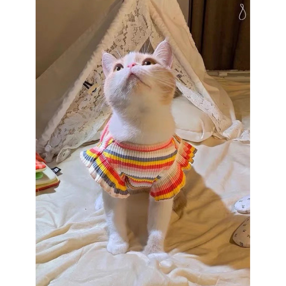 Roupas de gato primavera outono fino sem mangas camisa azul gato ouro gradiente cão estilingue Anti-fiapos verão colete