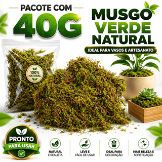 Musgo Verde Natural 40g para Artesanato Decoração de Vasos Flores Paisagismo