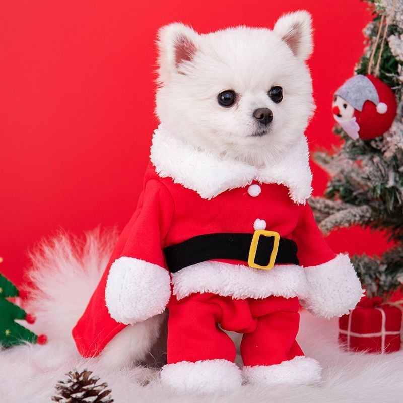 Natal Animal De Estimação Papai Noel Terno Trajes Clássicos Transformados Cão Gato Vestido De Princesa Filhote De Cachor