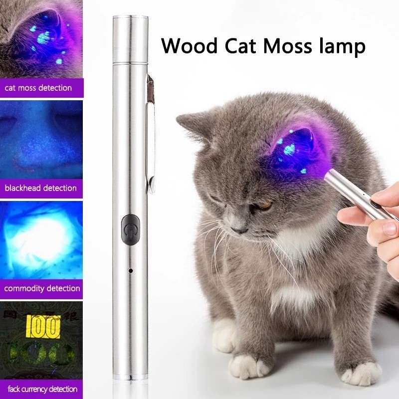 Lâmpada De Detecção De Fungos USB Para Animais Domésticos/Vírus Profissional Gato E Cão/Lanterna UV De Carregamento Rápi