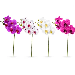 Orquídea Artificial Toque Real 55cm Haste Elegante Decoração Interna e Externa Casa Primo