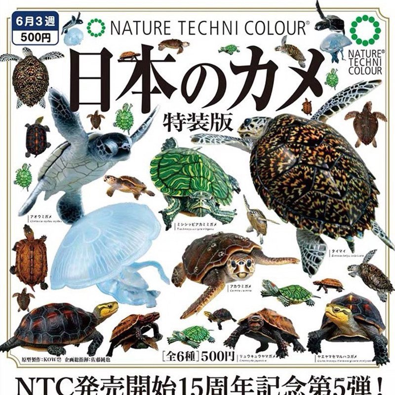 Em estoque ikimon Qitan NTC gacha modelo de simulação de tartaruga, tartaruga marinha, tartaruga-de-lado-amarelo, tartar