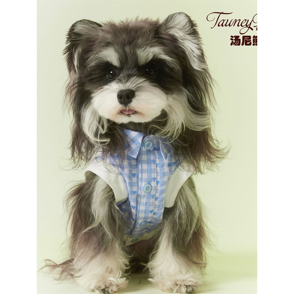 Tony Bear Filhote de Cachorro Primavera Verão Camisa Schnauzer Teddy Maltese Dachshund Shiba Inu Gato Colete Fino