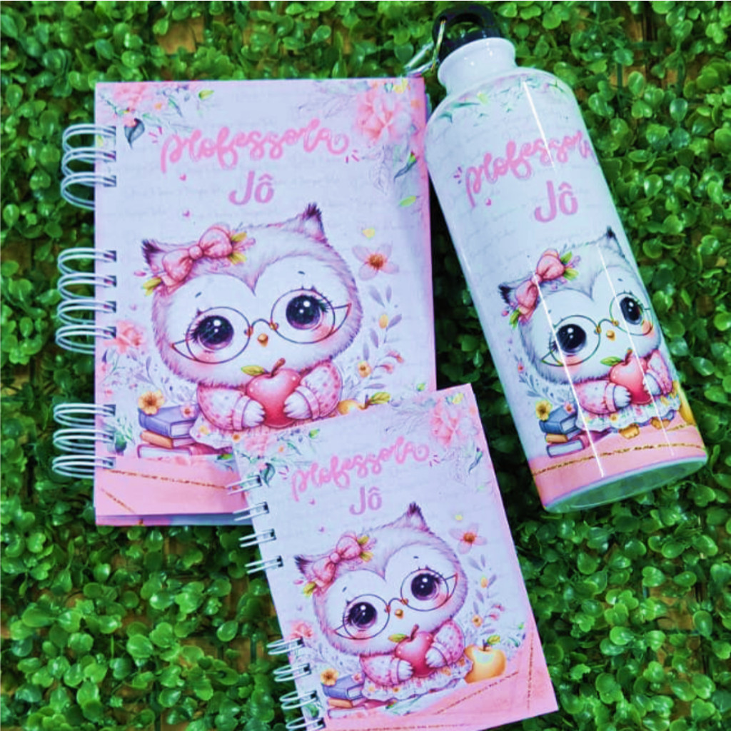Kit dia dos Professores Personalizado Agenda 2027 Garrafa Alumínio Brinde (Caderneta)