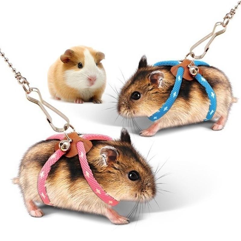 Novo Pequeno Animal De Estimação Ajustável Macio Arnês Trela Pássaro Papagaio Rato Hamster Furões Pet Porco Casa Suprime