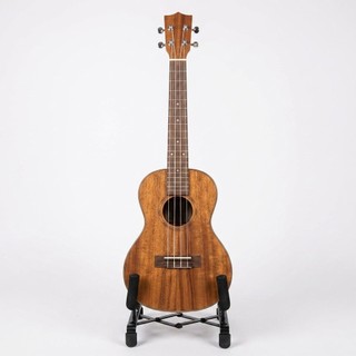 Suporte estante pedestal chão chao cavaco cavaquinho ukulele violino reforçado desmontavel portatil