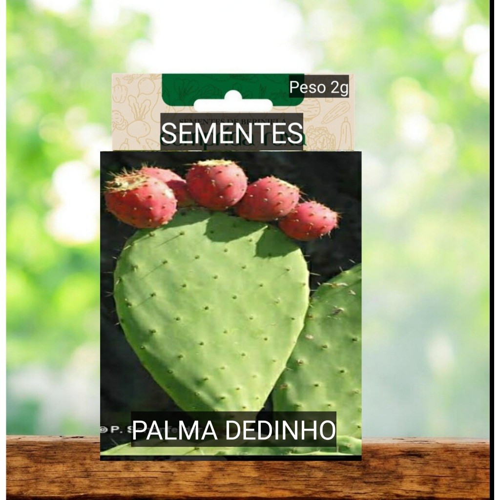 1 mudinha Palma dedinho florida flor vaso horta plantar decorar jardim OFERTA