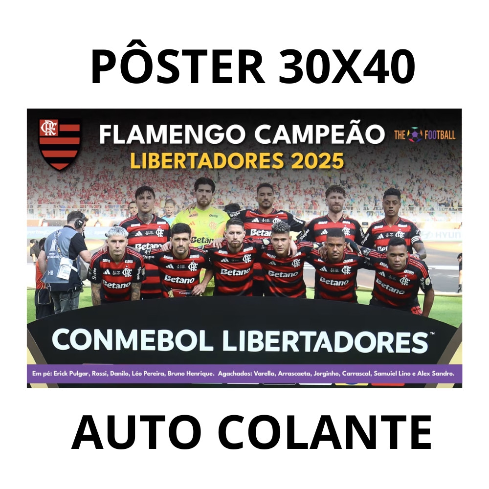 Pôster Flamengo Campeão Libertadores 2025 Grande 21x29CM Adesivado