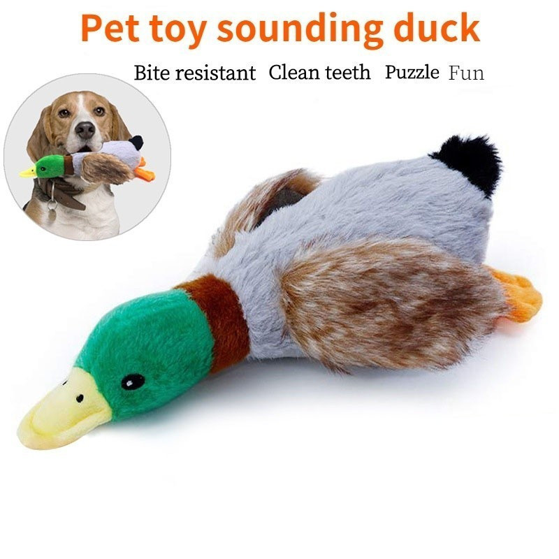 Novos brinquedos para animais de estimação, pato de pelúcia com som, brinquedos para cães, 28 cm, pato-azul de simulação
