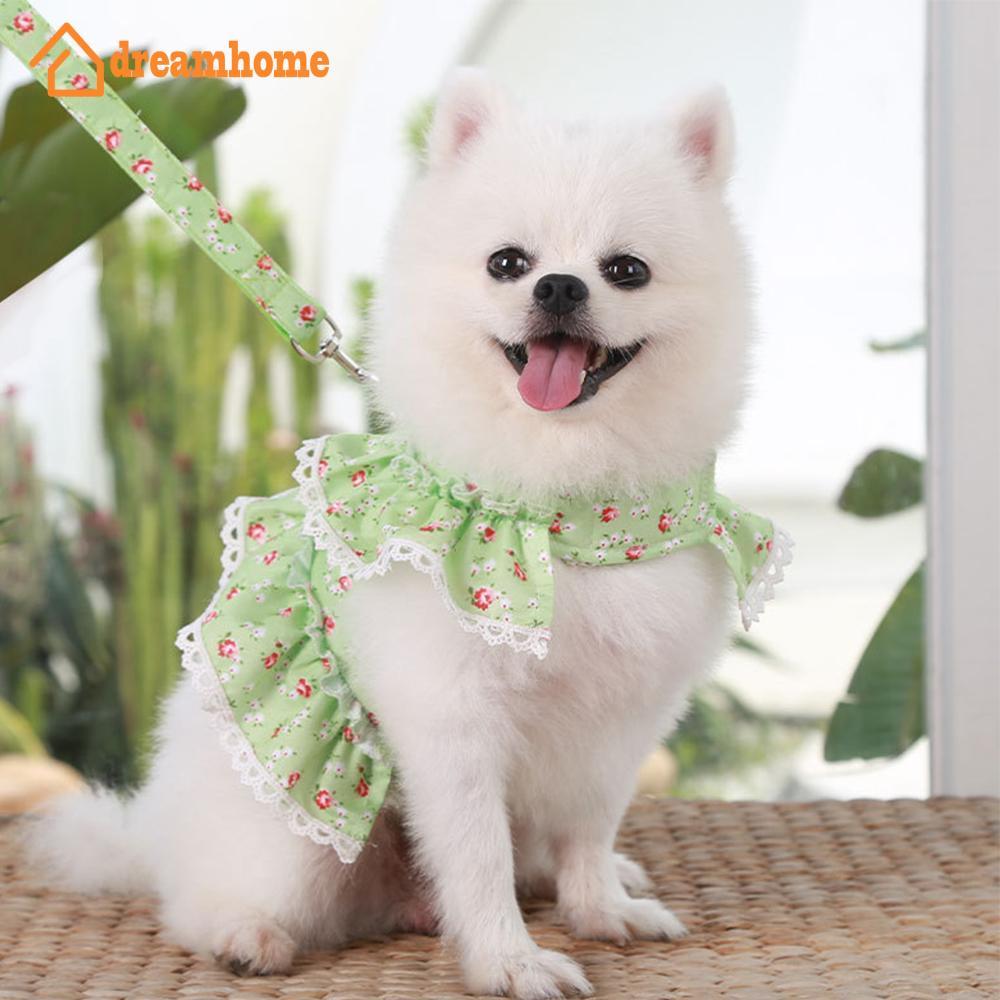 DREAMHOME Conjunto De Coleira E Arnês Para Animais De Estimação , 1.2M , Corrente Cães Pequenos Gatos , Caminhada , Cole