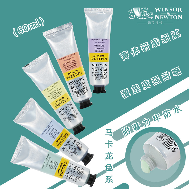 Winsor Newton Gallery Tinta acrílica 60ml Tubular Macaron Color Series Pintura de parede pintada à mão Pintura especial