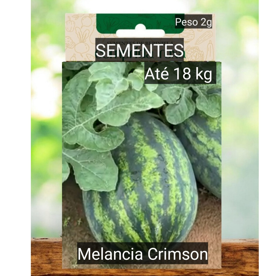 sementes de MELANCIA CRIMSON SWEET GIGANTE até  22 kg plante vaso horta terra adubo OFERTA
