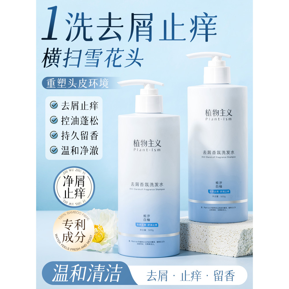 Shampoo anticaspa anti-coceira controle de óleo fragrância shampoo caspa melhorar a coceira da cabeça fragrância de long