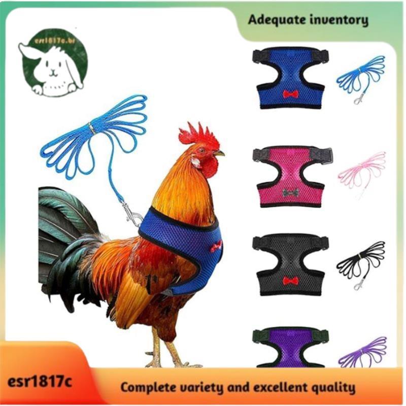 Arnês De Frango Ajustável De 4 Unidades Com Trela-4 Estilos Colete De Galinha Confortável Treinamento De Malha Respiráve